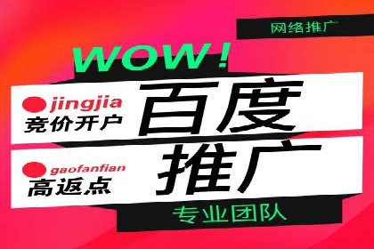 网络推广竞价策略解析与应用案例